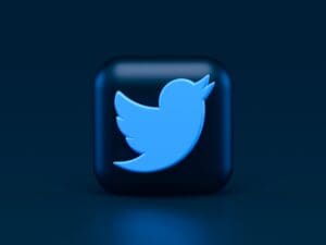 What are the advantages of paying for Twitter and Meta Premium Services?